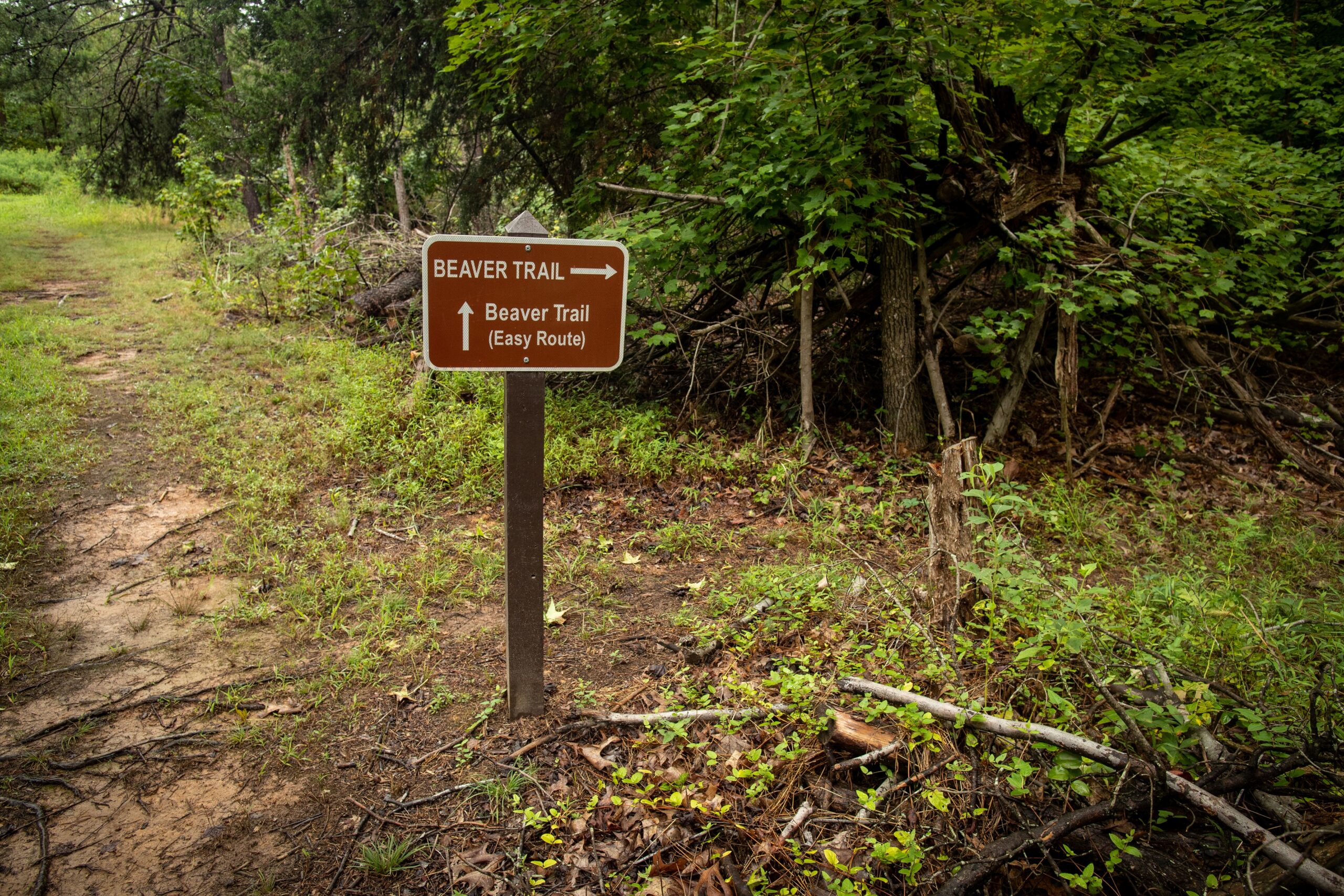 image of Beaver Trail Entrance