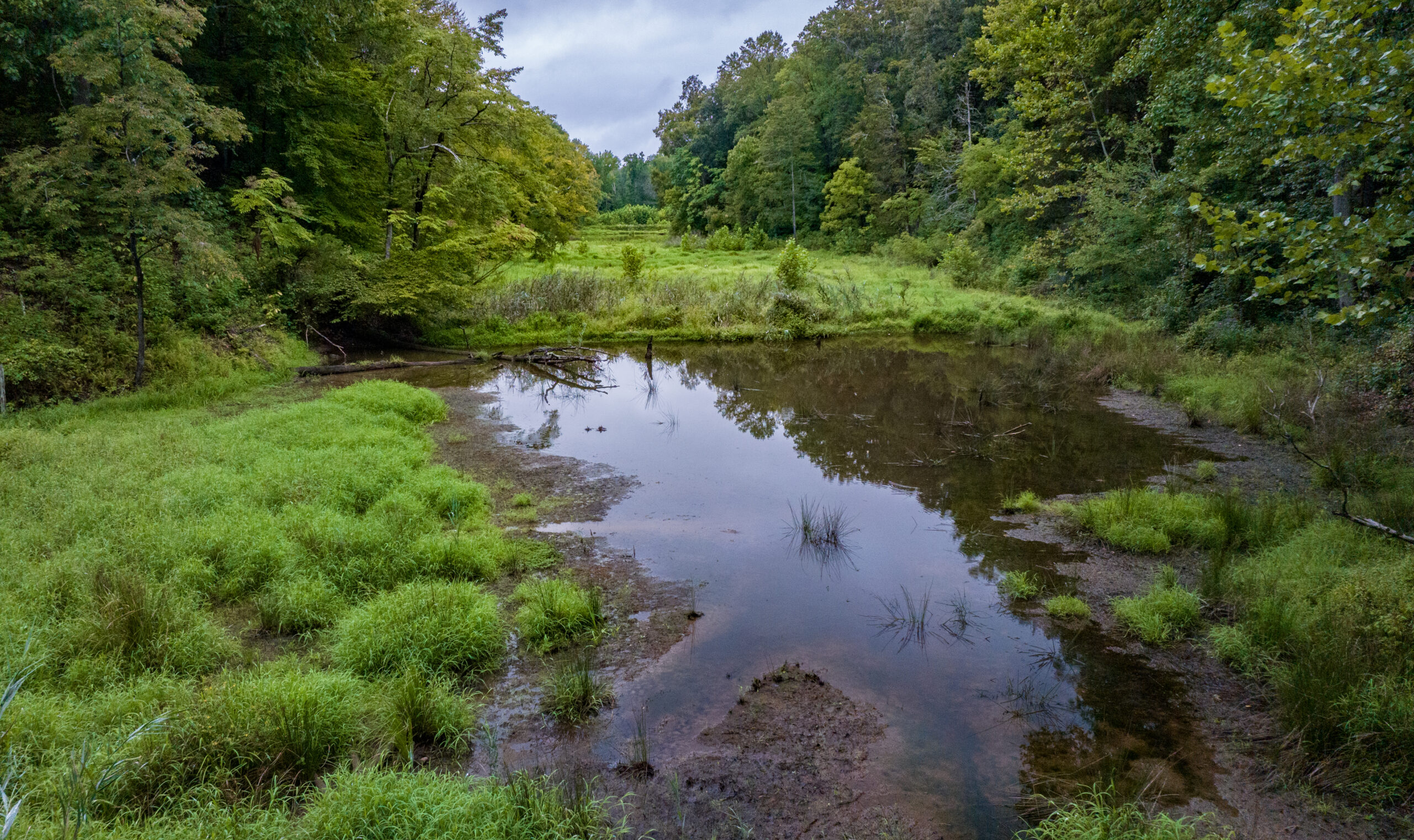 image of Beaver Pond