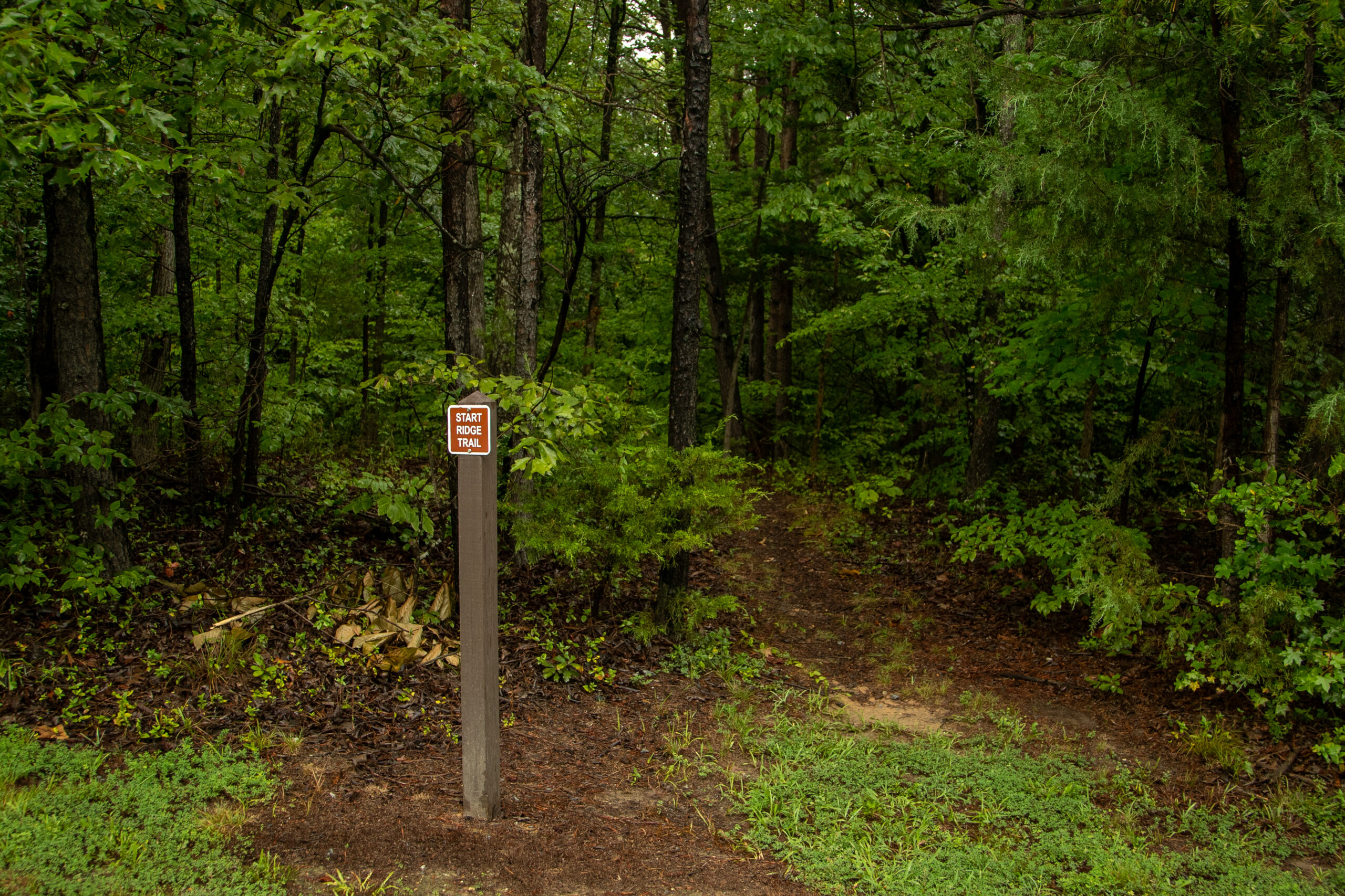 image of Ridge Trail Entrance