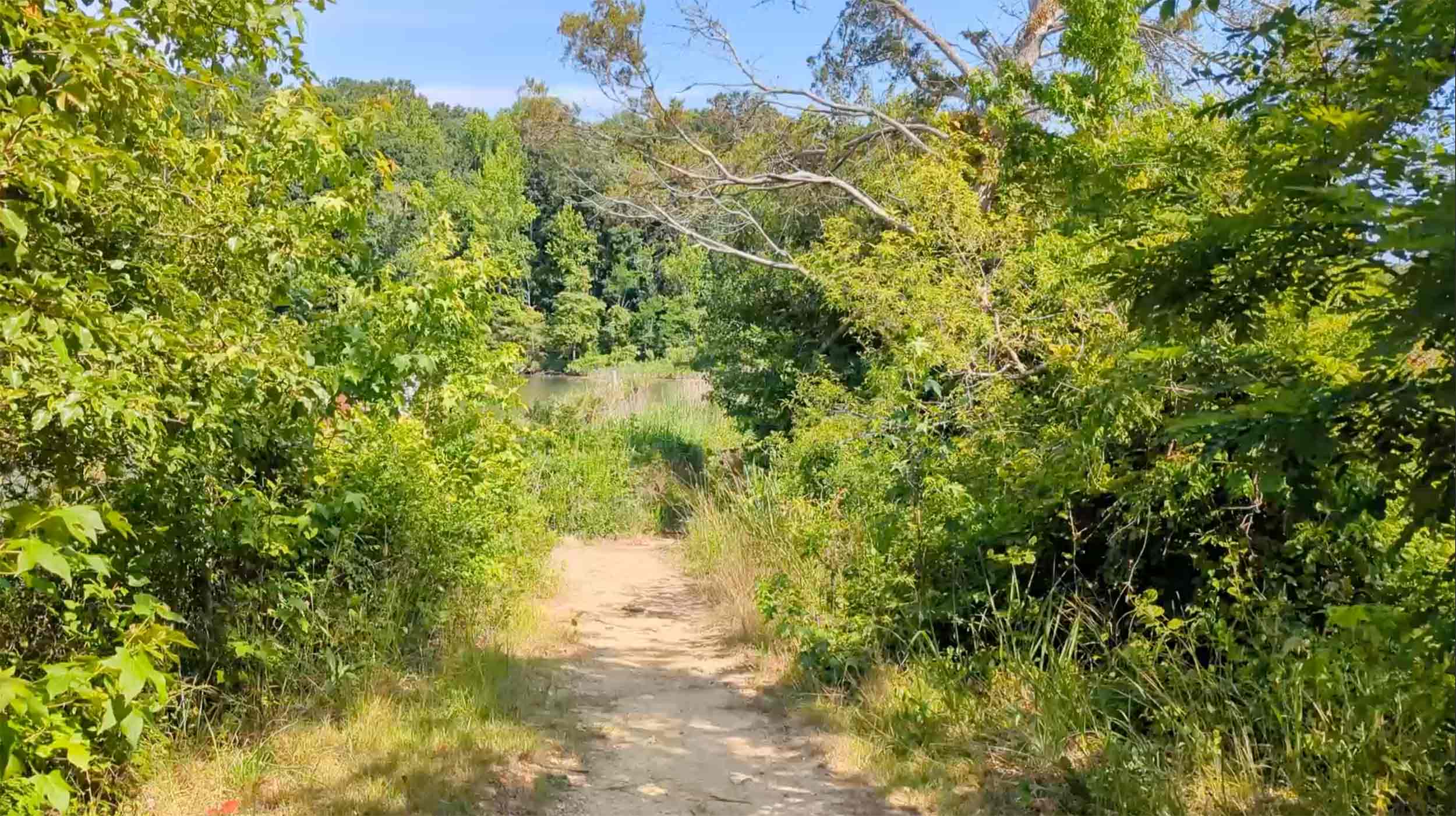 Explore the trails of Mallows Bay